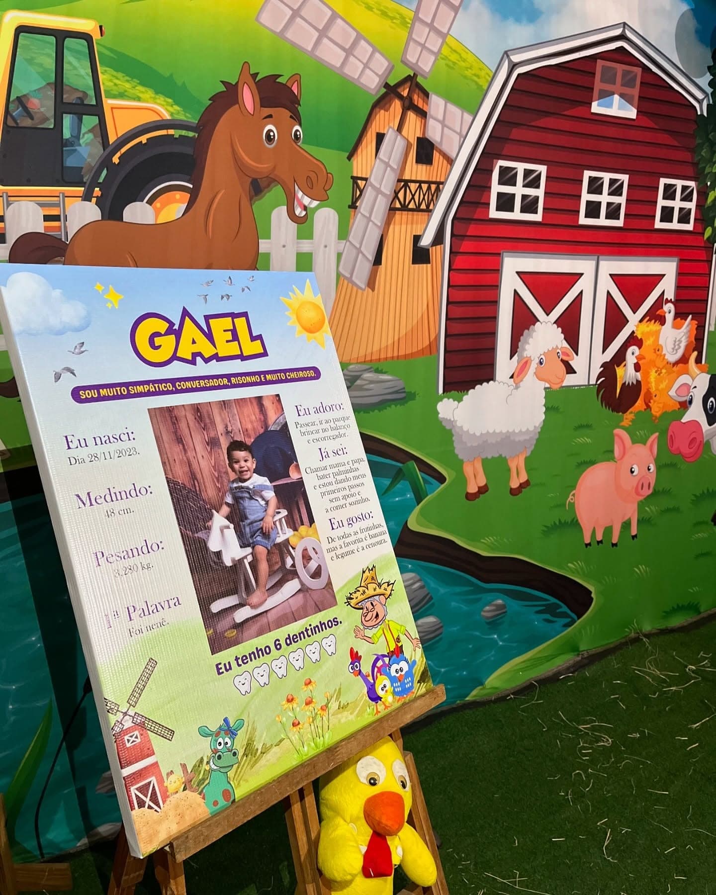 Festa infantil no Jardim Secreto, Porto Velho, foto 6