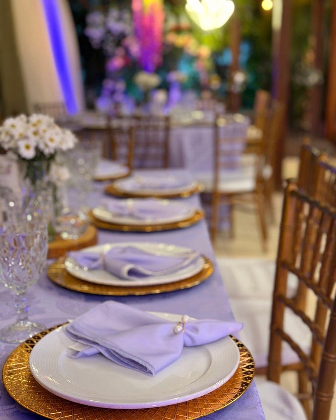 Casamento no Jardim Secreto, Porto Velho, foto 8