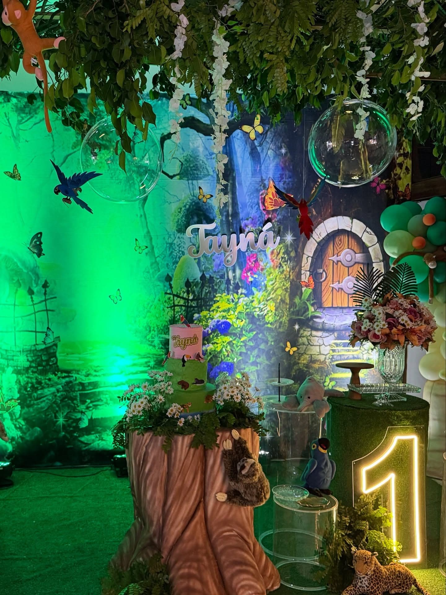 Festa infantil no Jardim Secreto, Porto Velho, foto 3