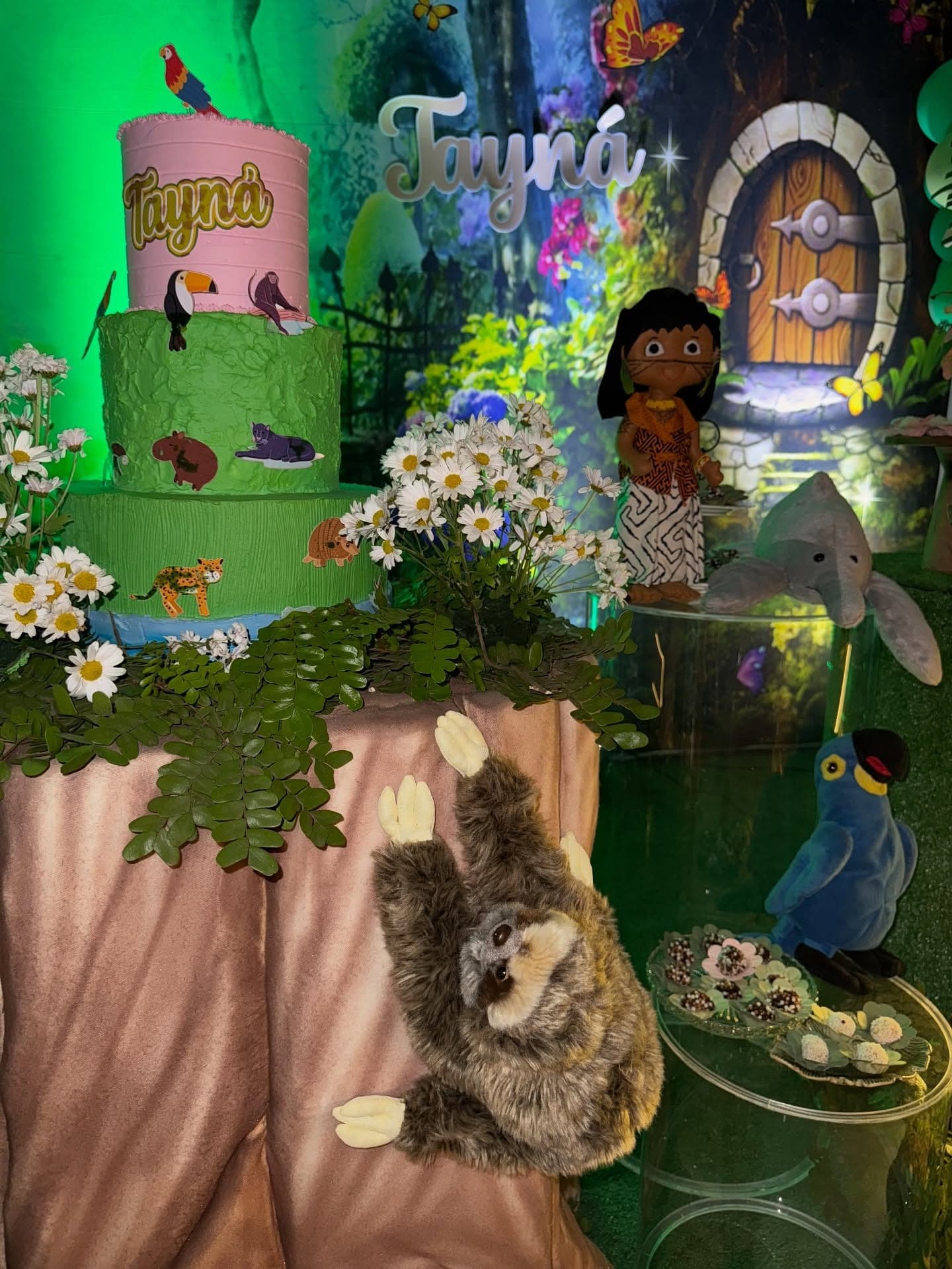 Festa infantil no Jardim Secreto, Porto Velho, foto 4