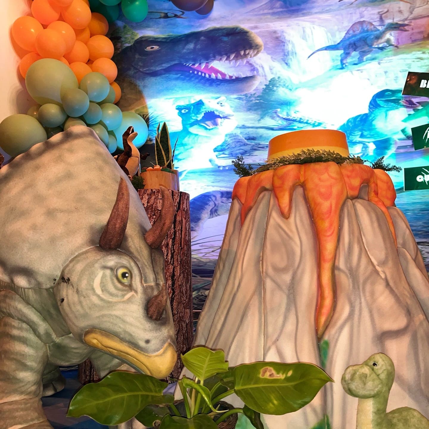 Festa infantil no Jardim Secreto, Porto Velho, foto 4