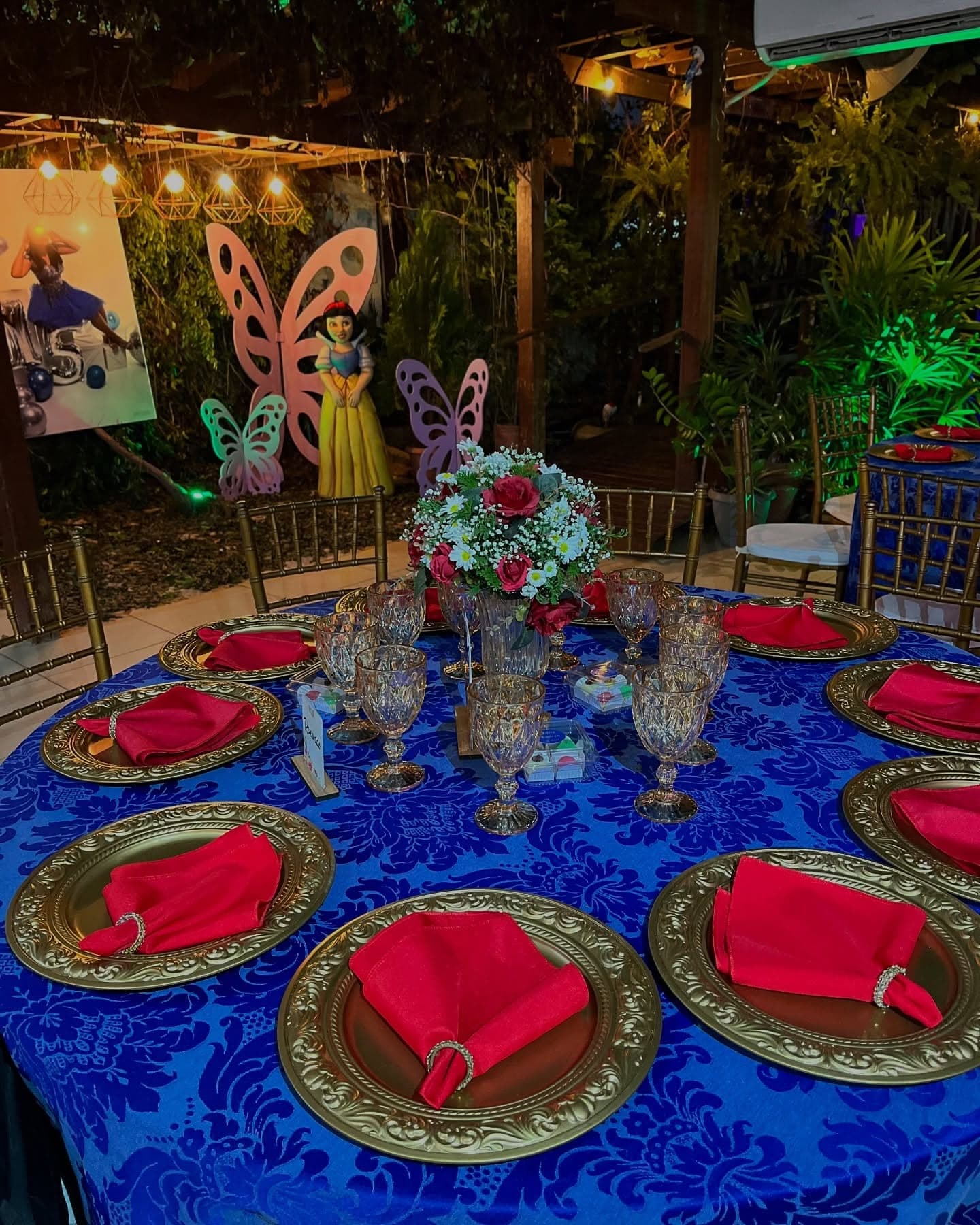 Festa de 15 anos no Jardim Secreto, Porto Velho, foto 2
