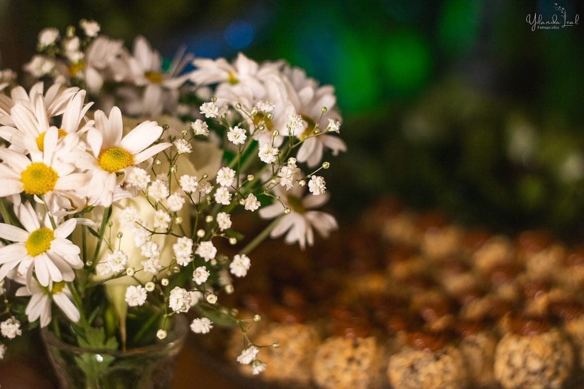 Casamento no Jardim Secreto, Porto Velho, foto 8