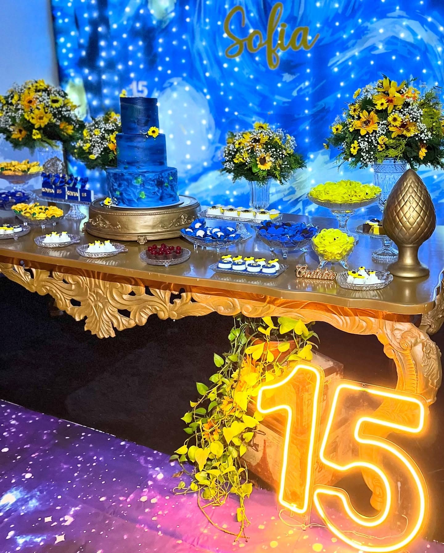 Festa de 15 anos no Jardim Secreto, Porto Velho, foto 2