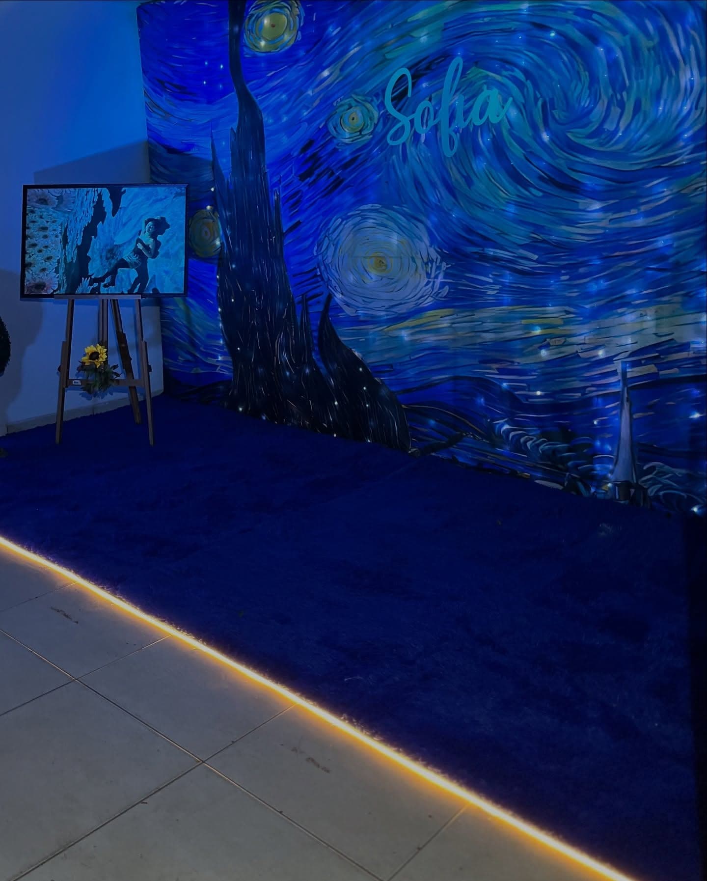 Festa de 15 anos no Jardim Secreto, Porto Velho, foto 4